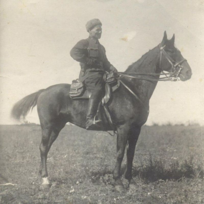 Командир дивизии