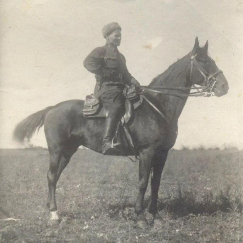 Командир дивизии